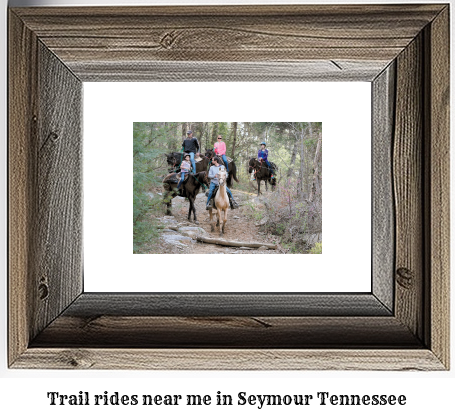 trail rides near me in Seymour, Tennessee